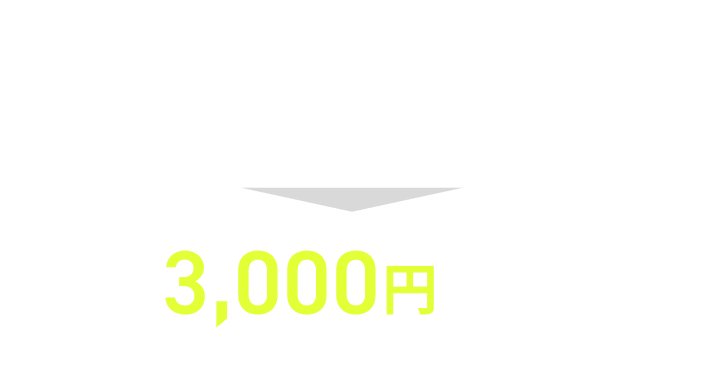 個別オンライン説明会の価格3,000円