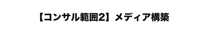  【コンサル範囲２】メディア構築